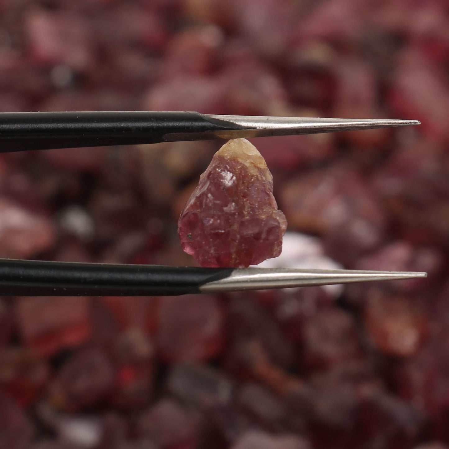 REAL-GEMS Natural Raw Healing Crystals Rough Stones for Tumbling, Cabbing, Polishing, Wire Wrapping, Wicca & Reiki Crystal Healing, Mix Gemstones,7 Chakra (Red Garnet)