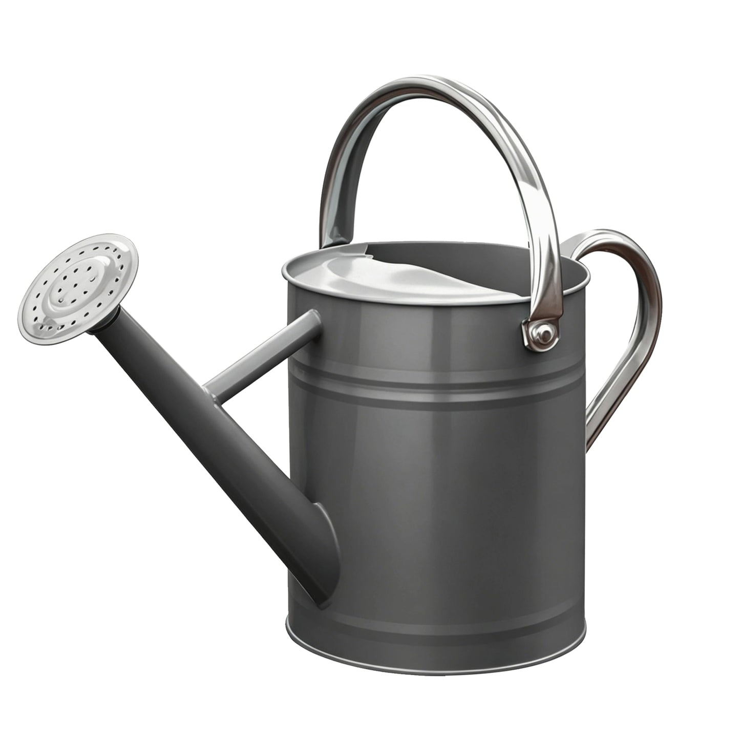 SunnyTong Metal Watering Can for Outdoor and Indoor Plants, Watering Can Decor, 1 Gallon (Gray)