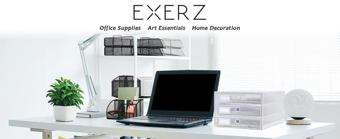 Exerz Paper Sorter 3 Drawer Wire Mesh A4 / Desk Multifunctional Desk Organiser/Multi-Layer Letter Tray - for Documents, Magazines, Notebooks and Letter (White)