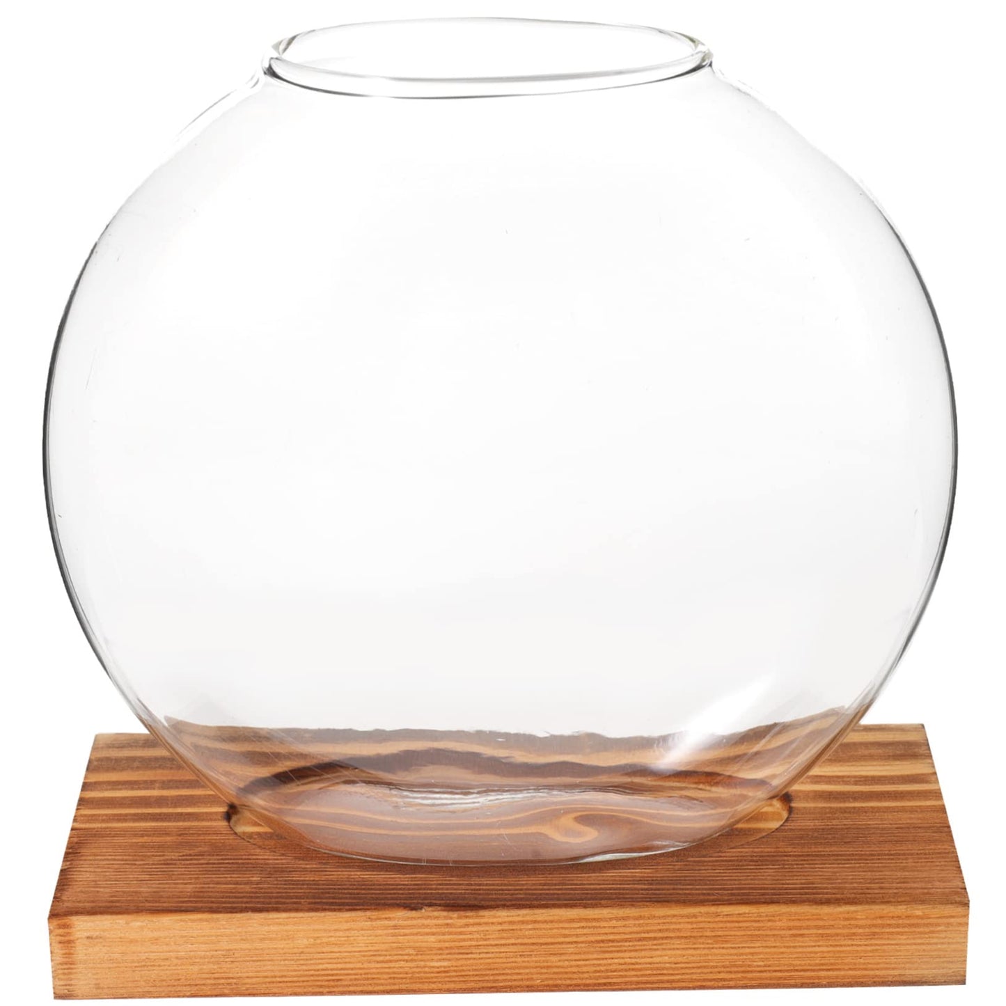 ABOOFAN Hydroponic Plant Vase with Base Glass Propagation Bottle for Desktop Decoration Transparent Terrarium Planter for Home Office Wedding Modern Tabletop Adornment