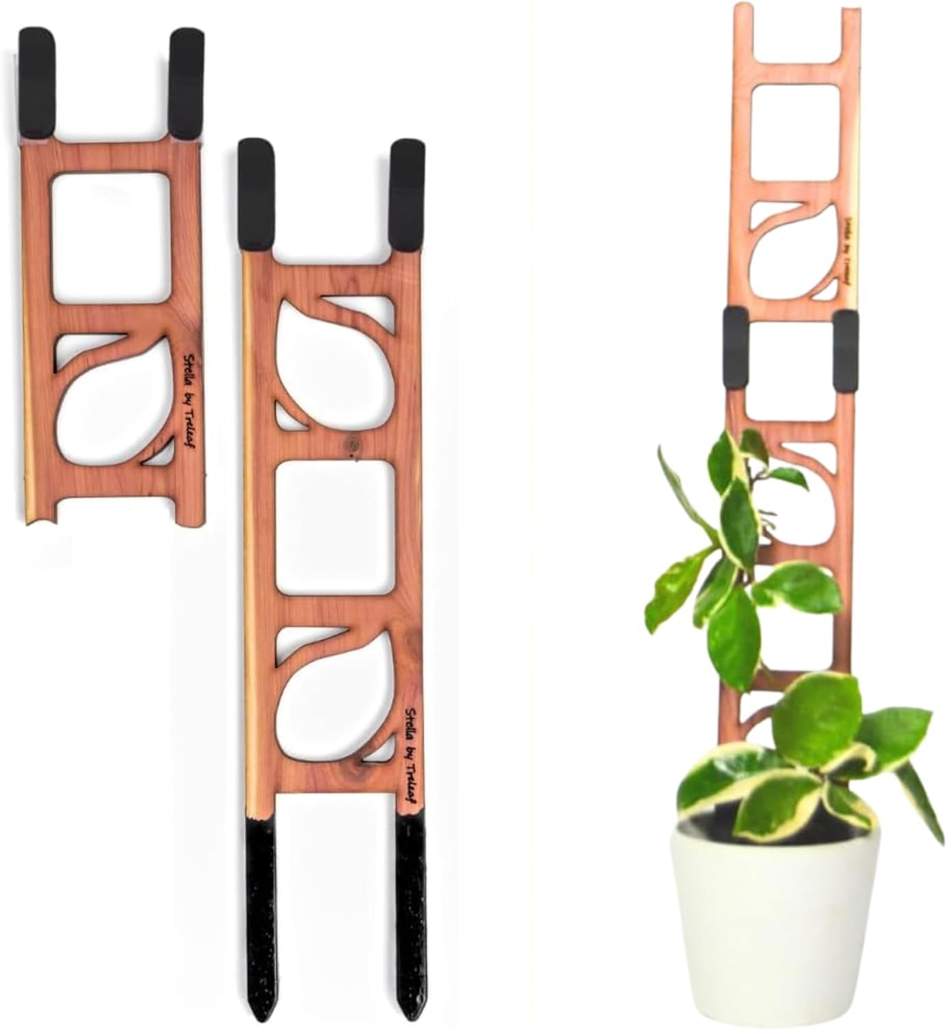 Treleaf Stella Extendable Ladder Trellis - Wooden Plant Trellis for Indoor Climbing Plants, Modular Plant Support Stake with 12” Base + 8” Extension - Perfect for Ivy, Hoya, Houseplants
