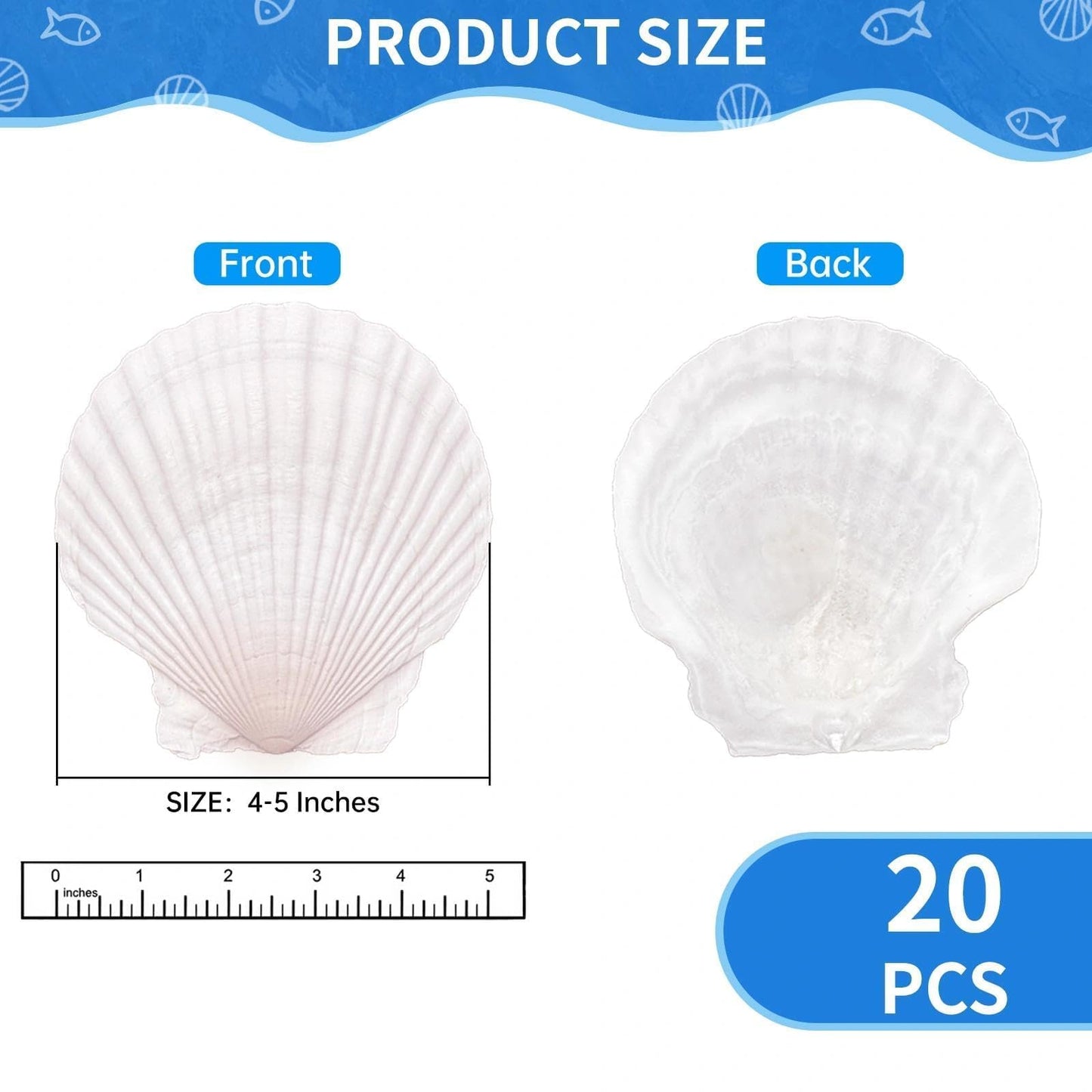 20PCS Large Scallop Shells for Crafts, 4-5 Inch Natural Sea Shells for Decorating, White Seashells Bulk for DIY Crafting, Painting, Baking, Ocean Themed Party Supplies & Decorations