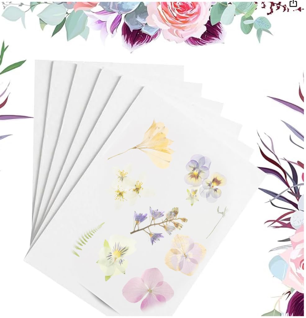 Suziko Flower Pressing Accessories,Blotting Paper for Flower Press,Drying Plates Replacement Dried Flower Leaf Plant Fruit Pressing Replacements for DIY Art Handicrafts Specimens (10.8" x 6.9")