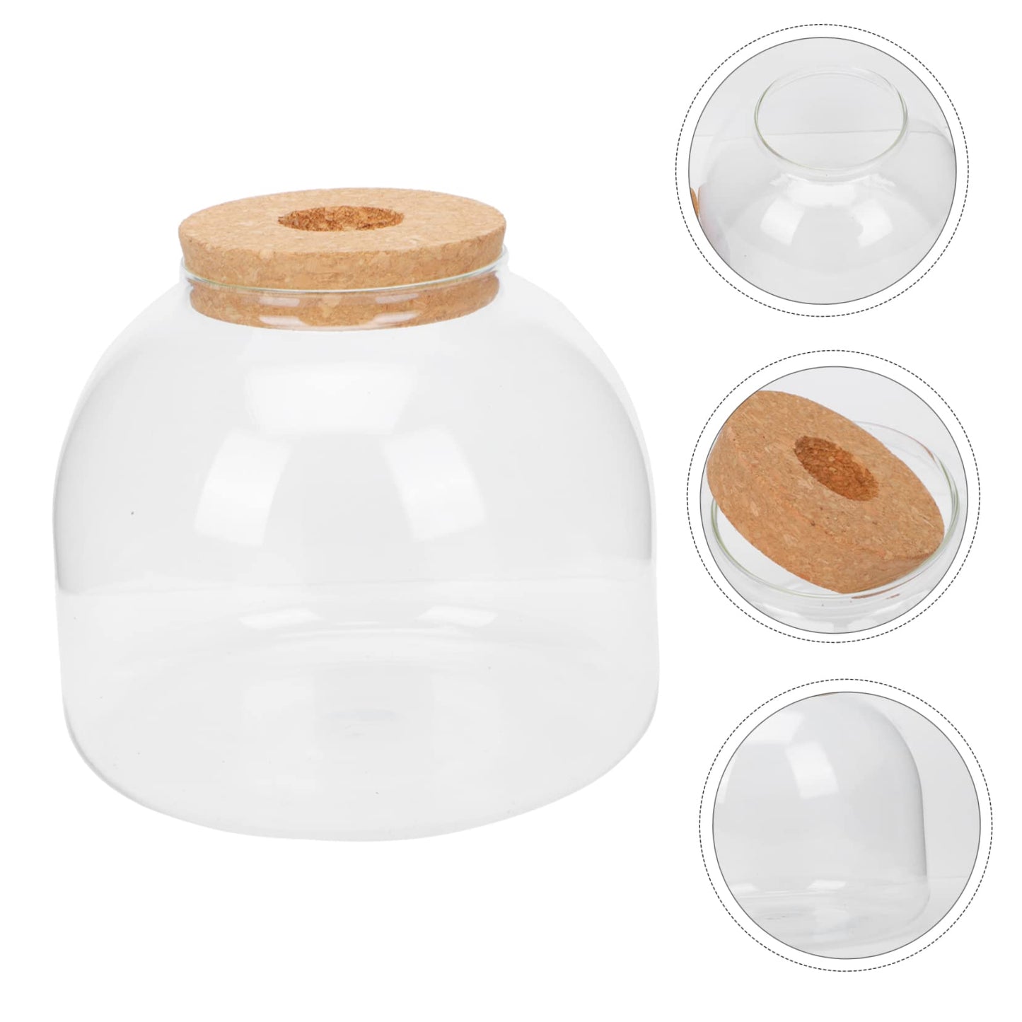 VANZACK 1set Glass Terrarium Container for Microlandscape Decor Transparent Bottle for Indoor and Outdoor Creative Plant Displays for Use