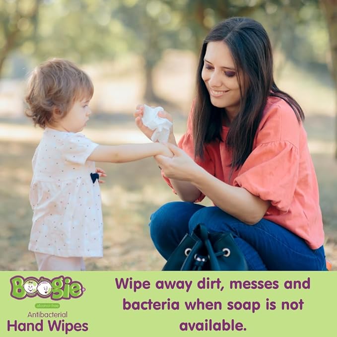 Boogie Antibacterial Hand Wipes by Boogie, Alcohol Free, Hypoallergenic and Moisturizing Aloe, for Kids and Adults -100 Total Wipes (5 Packs of 20)