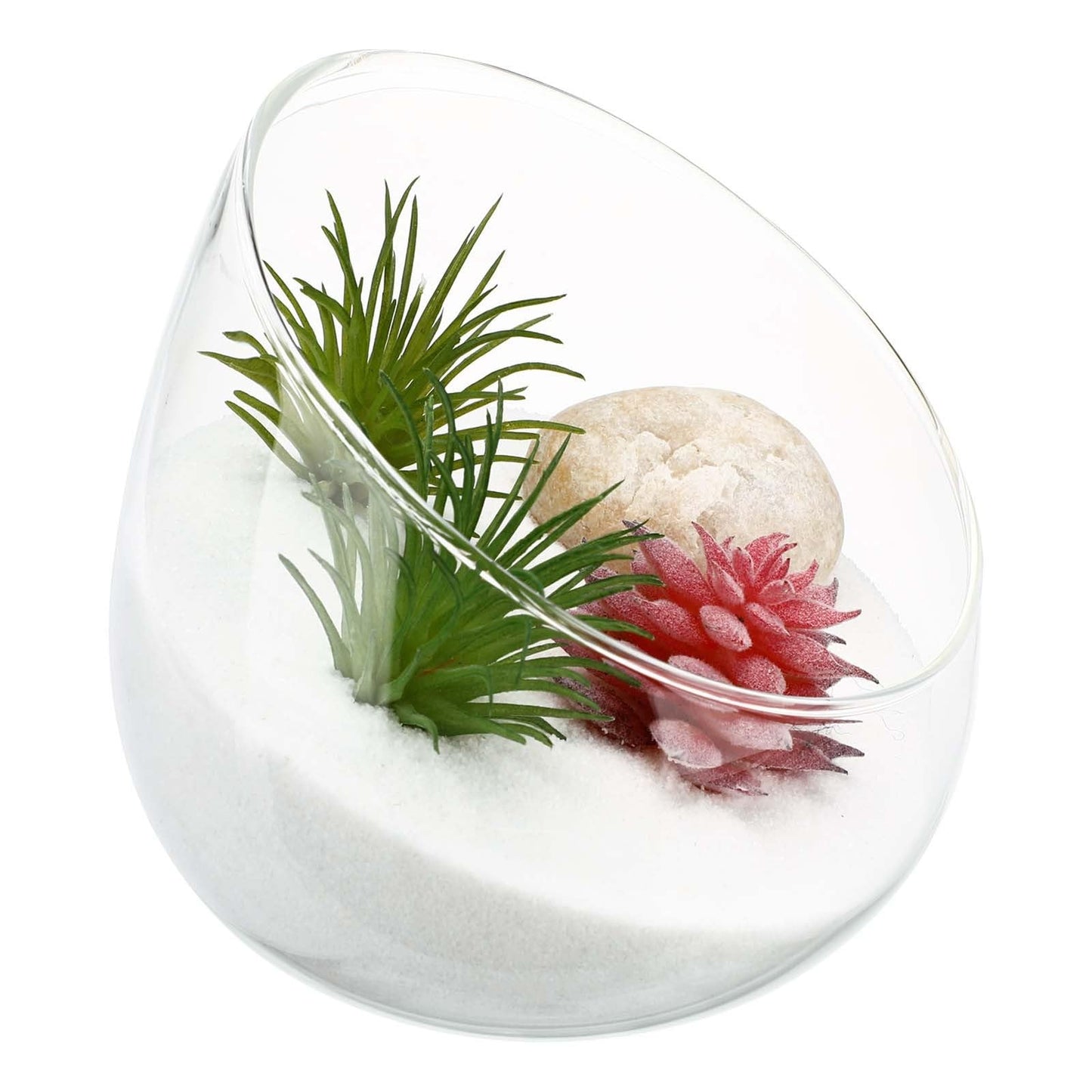 WOFASHPURET 4.72" Slant-Cut Glass Terrarium Jar – Thickened Globe Bottle for Succulent & Moss Mini Ecosystem, Stable Desktop Planter for Home Office Décor & Gift