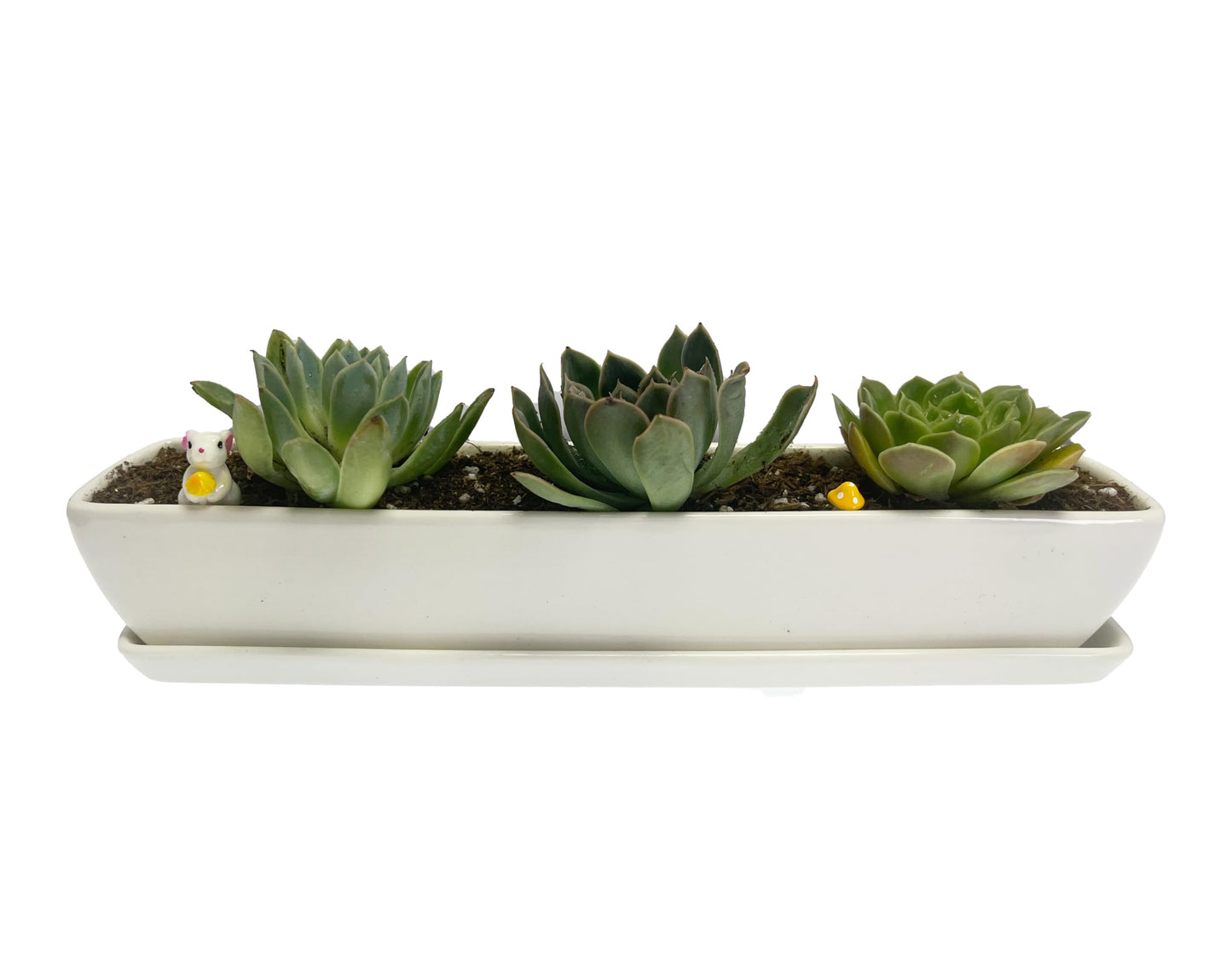 Kipokalor White Ceramic Succulent Planter Pot,one Set of 10.9x2.36x1.65inch Long Rectangular Modern Minimalist with Ceramic Saucer for Office,Desk,Window. (1)