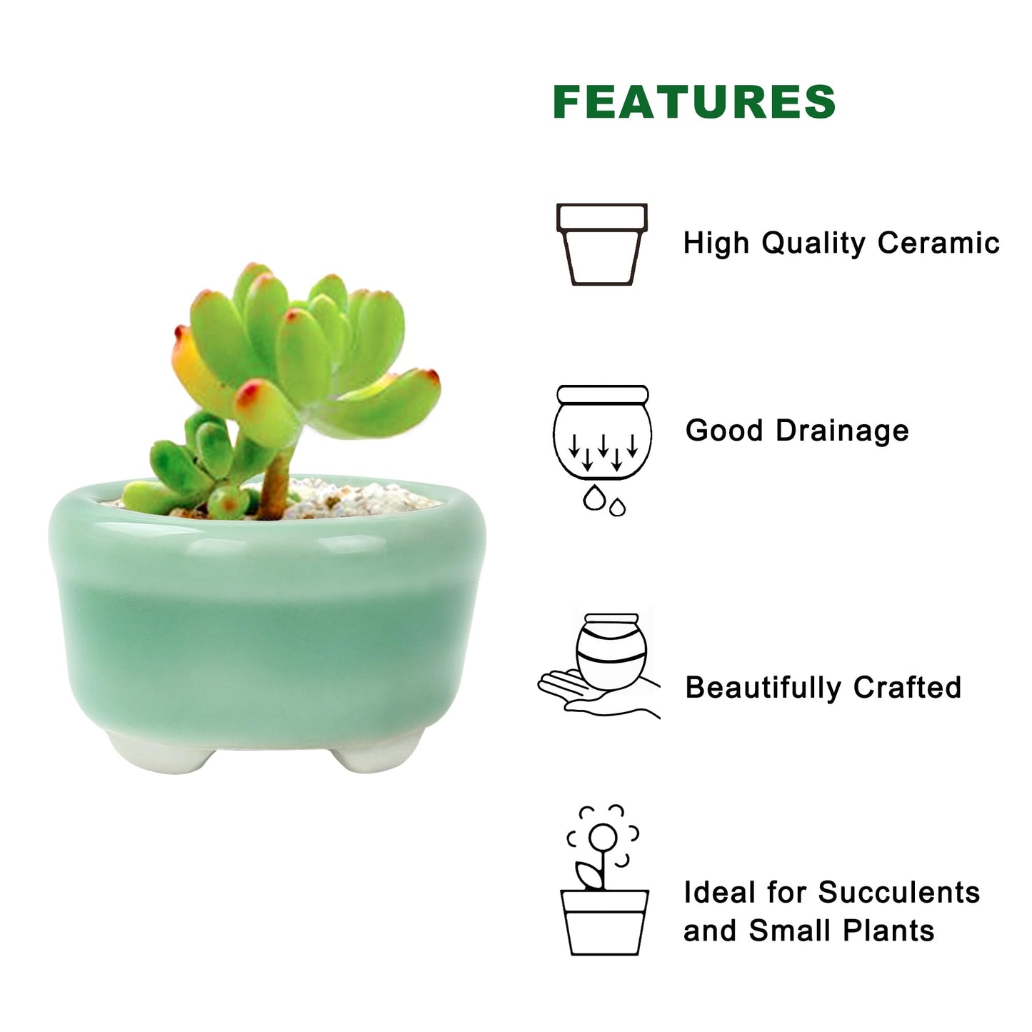 Bonsai Planter 1.8 inch (4.5cm) Mini Succulent Glazed Pots Set of 12 Green