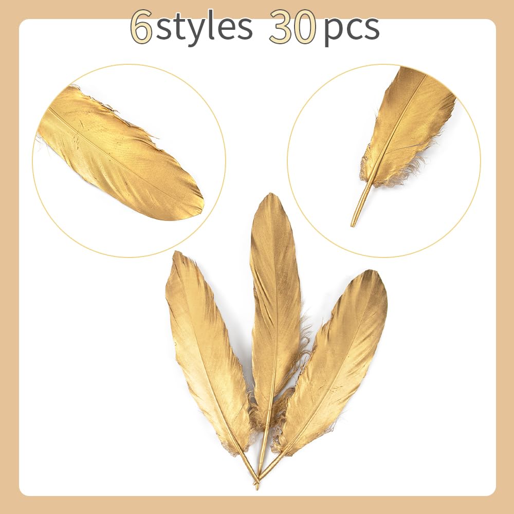 WENCELYL Gold Feather 6styles 30pcs Natural Goose Swan Feathers for Wedding Party Decoration DIY Crafts Halloween Performances Accessories