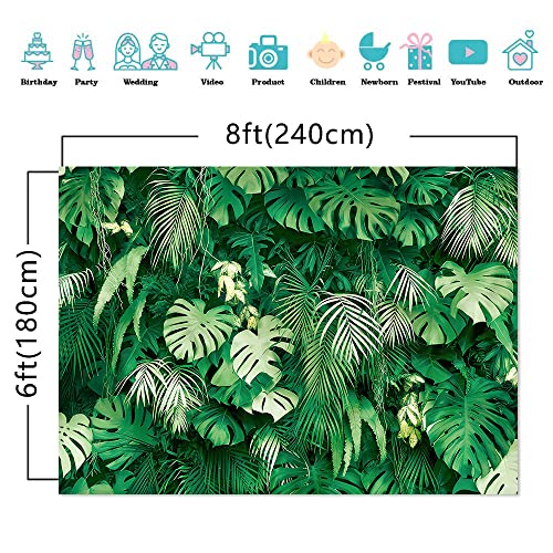 8X6FT Jungle Palm Wildlife Park Plant Photo Photography Background Outdoor Friends Party Tropical Backdrop Family Party Baby Shower Banner Prop Photo - size: 8X6FT