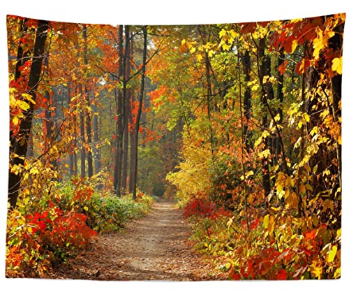 BELECO Autumn Scenery Backdrop Fabric 5x3ft Fall Woods Path Deciduous Background Forest Mountain Road Photography Backdrop Home Decor Autumn Theme Party Backdrop Kids Adults Portrait Photo Props