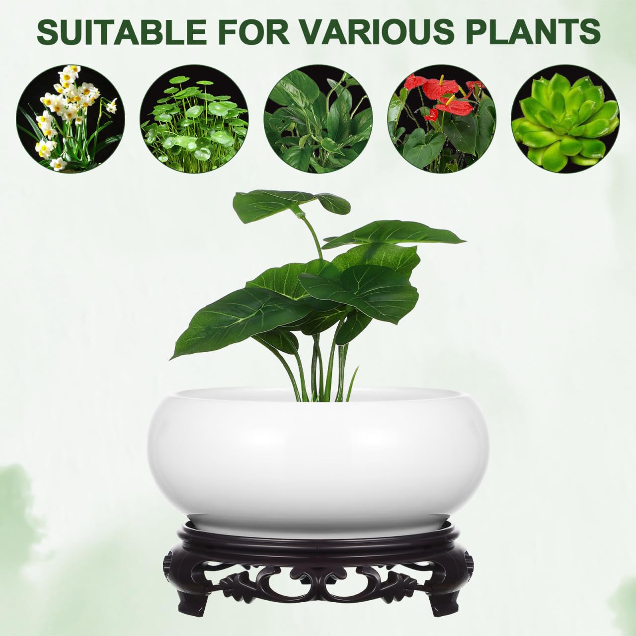 Kisangel Ceramic Lotus Bowl Planter, Hydroponic Water Lily Bowl with Plastic Base, No Holes Round Flower Succulent Planter Pot for Indoor