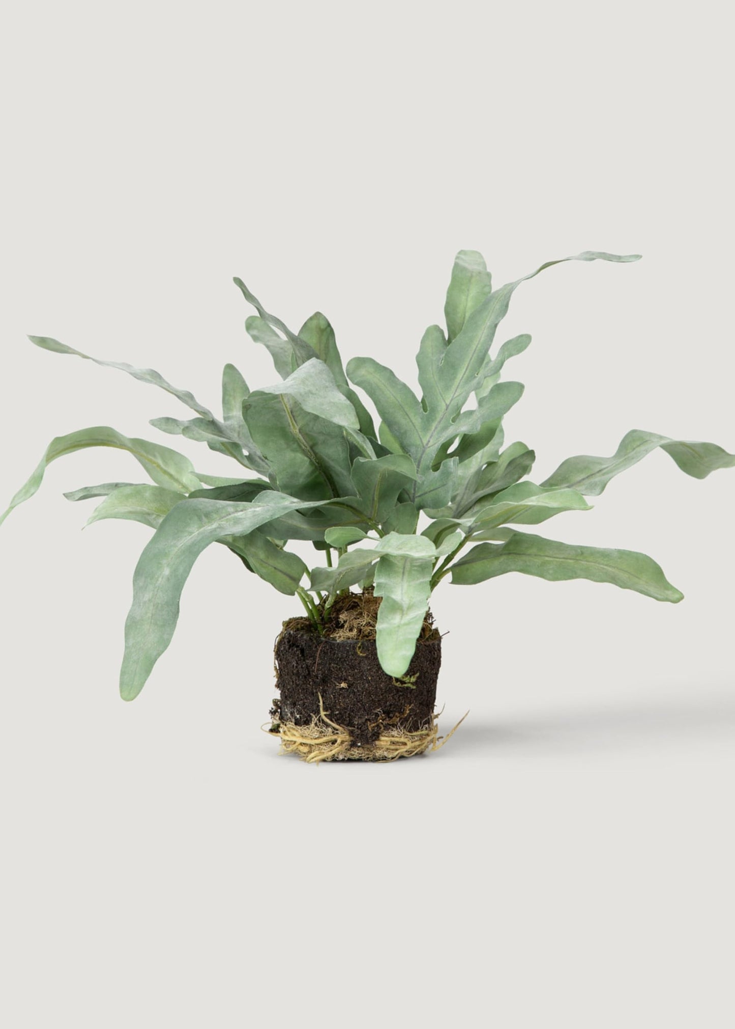 8.5-Inch Artificial Echeveria Fern Drop-in, Lifelike Faux Succulent for Small Planters