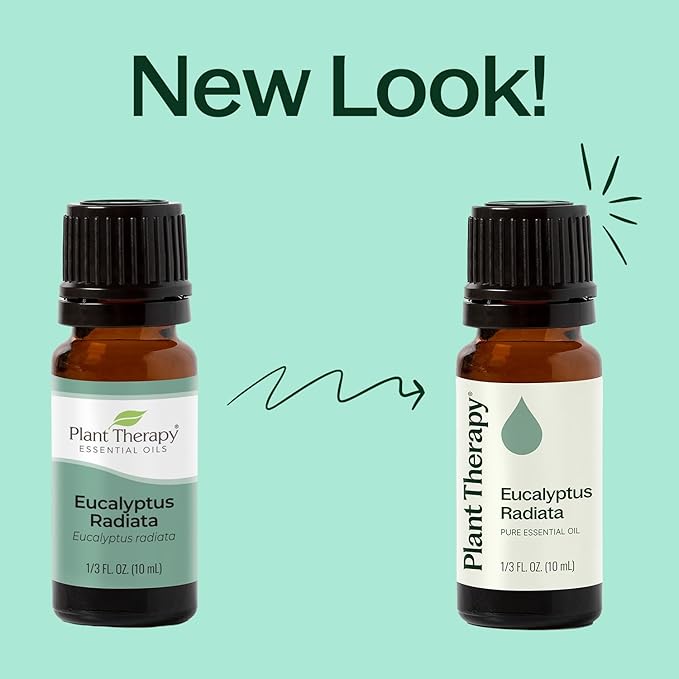 Plant Therapy Eucalyptus Radiata Essential Oil 100 mL (3.3 oz) 100% Pure, Undiluted, Therapeutic Grade