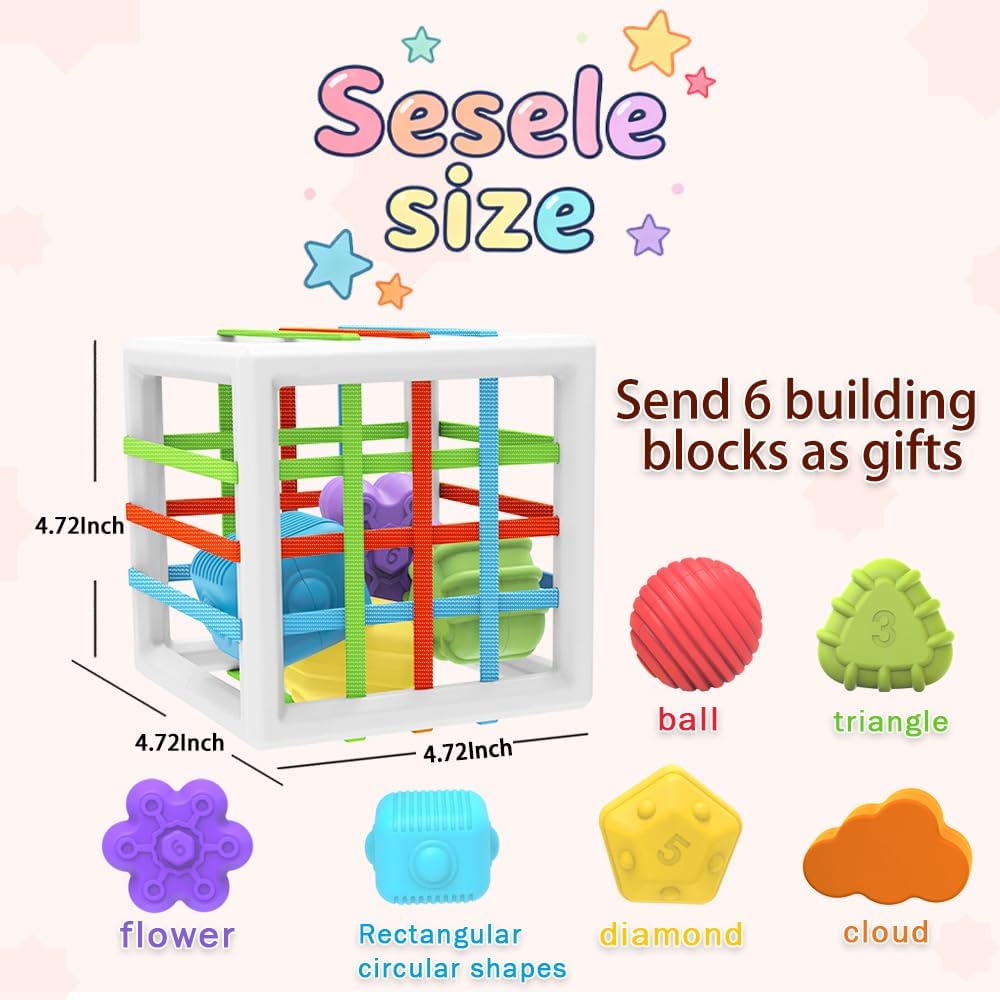 EasierLTtoys Suitable for 1-Year-Old Babies, 6-piece Multi-Sensory Shape Toys, Early Childhood Development Learning Birthday Gift, 12-Month Baby Toys