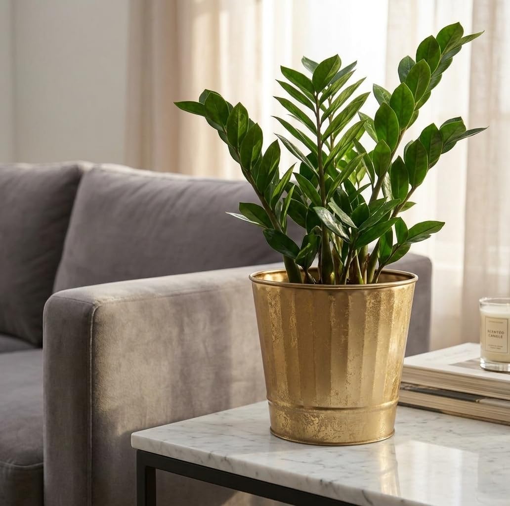 Hosley Gold Metal Planters Set of 2 – 7” x 6” Hammered Buckets for Wedding Centerpieces, Event Decor, Floral Arrangements, Party Tables, Bulk Use