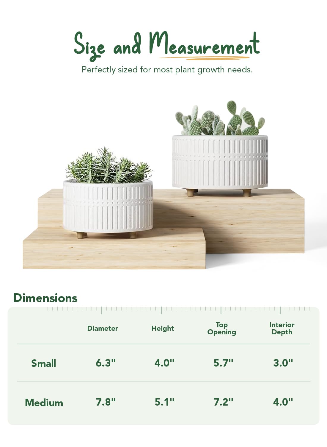 LE TAUCI Succulent Pots, 6.5+8 Inch Ceramic Indoor Plant Pot with Drainage Hole, Shallow Round Succulent Planters, Set of 2, Matte White