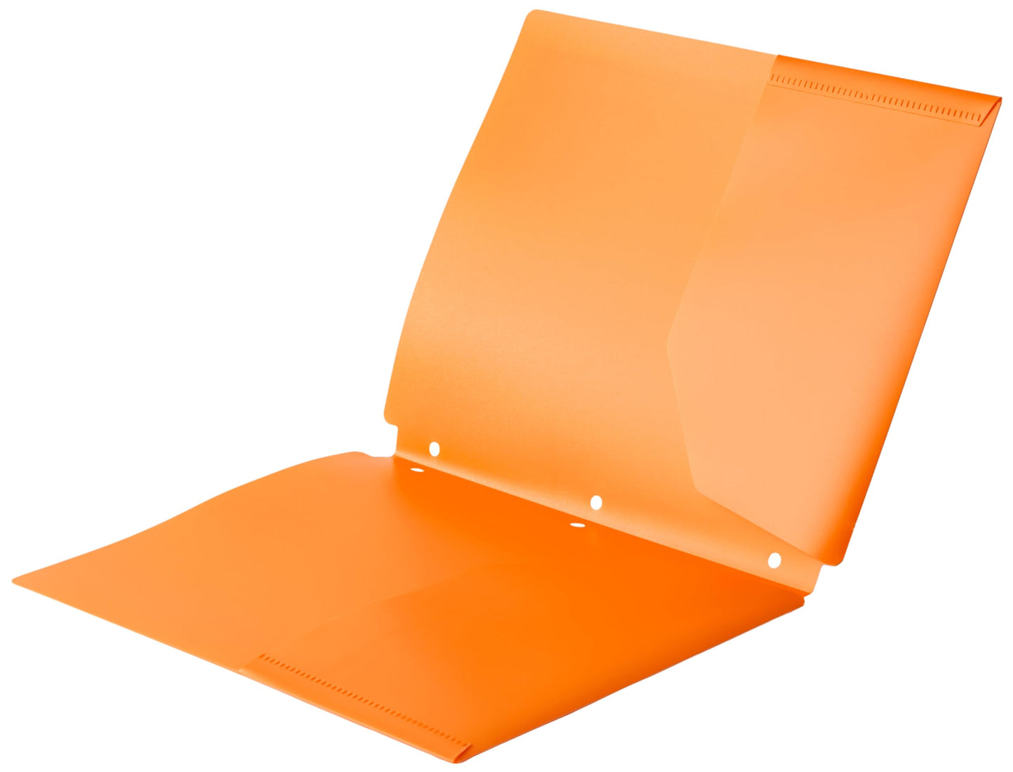 Amazon Basics Plastic 3 Hole Punch Folders with 2 Pockets, 8.5 x 11 inches, Pack of 12, Assorted Color