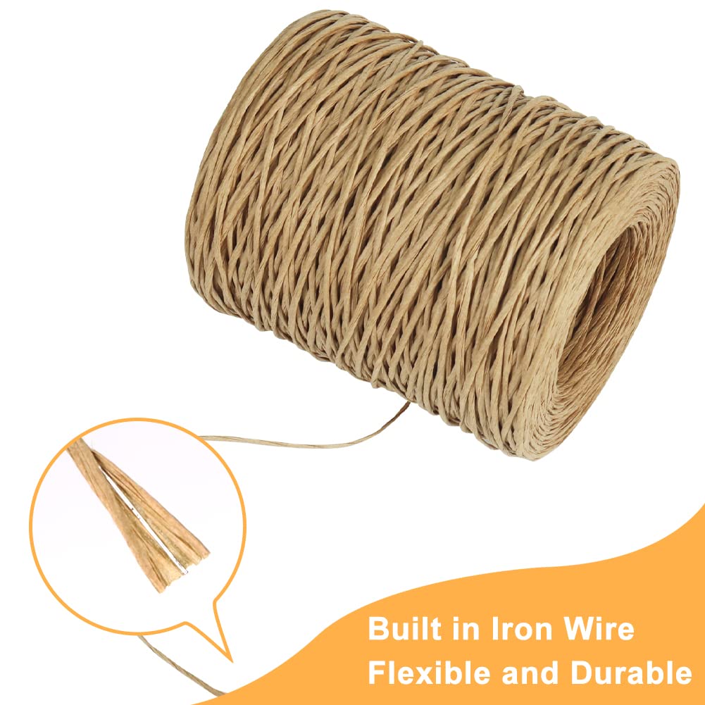Tenn Well Floral Binding Wire, 656 Feet 2mm Paper Covered Wire Rustic Vine Wires for Floral Arrangements, Flower Crowns, Grapevine Wreath Making, Wedding Decorating, DIY Projects (Natural)