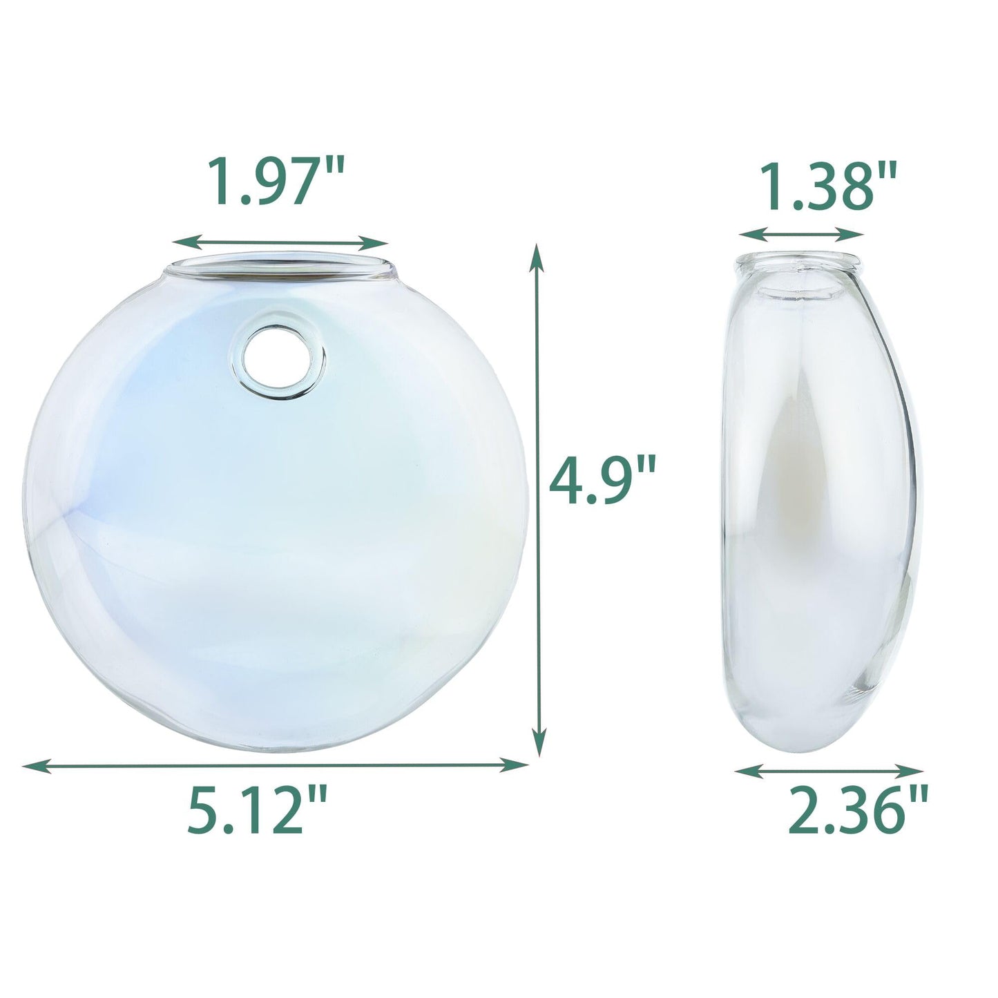 OQUQO 4 pcs Glass Wall Hanging Planter, Oval Terrarium Vase, Propagation Station for Hydroponics, Indoor Plants, Home Office Decor (Medium)