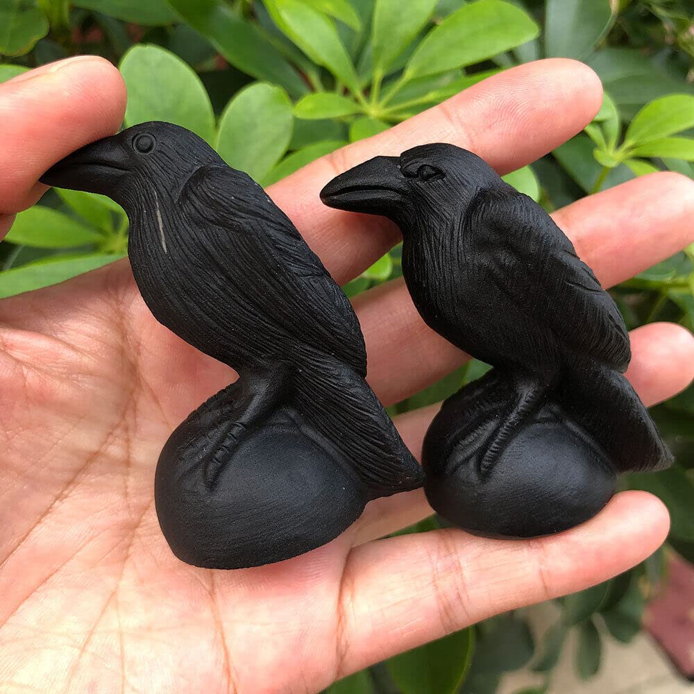TEAMWILL 1pc Natural Black Obsidian Crow Skull Quartz Crystal Carved Skull Figurines Healing 2.76"