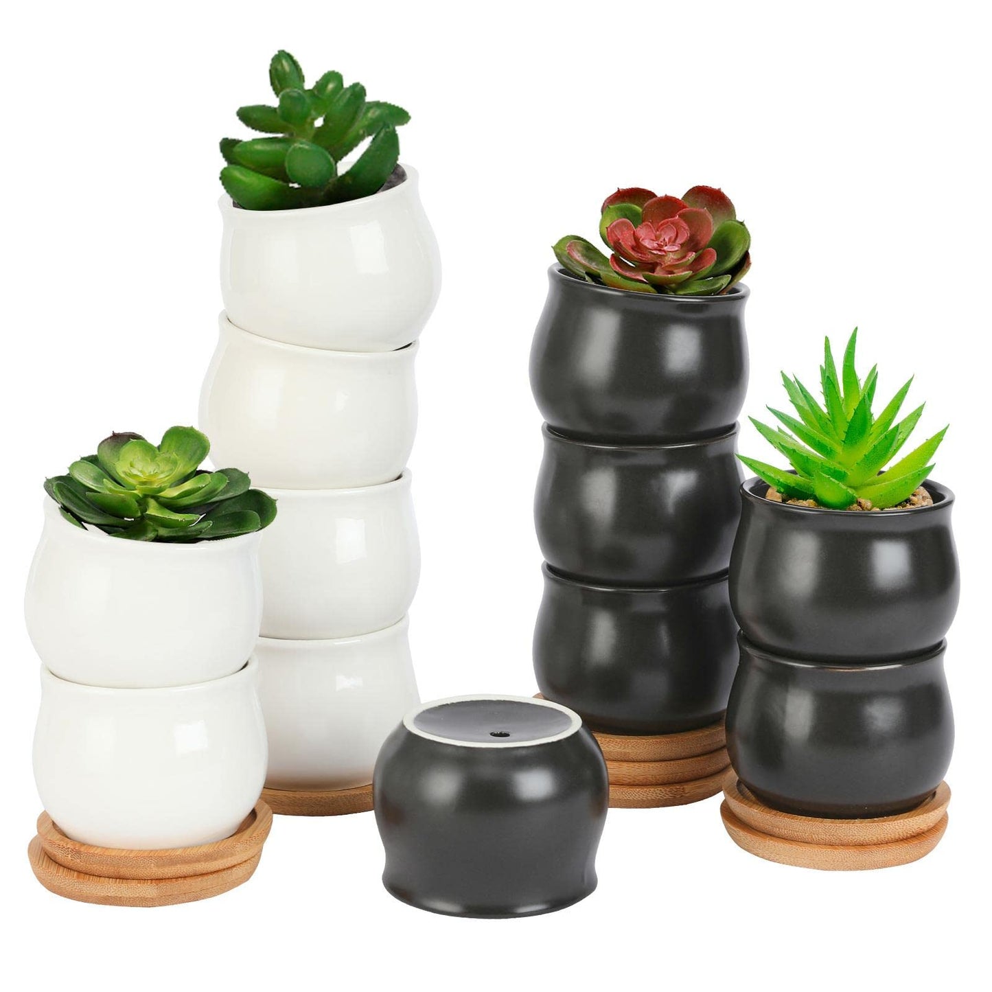 SHECIPIN 12 Pack Succulent Plant Pot, Mini 2.6 inch Ceramic Flower Planter Pot with Bamboo Tray, Small Pots for Plants, Plants Not Included （White, Black）
