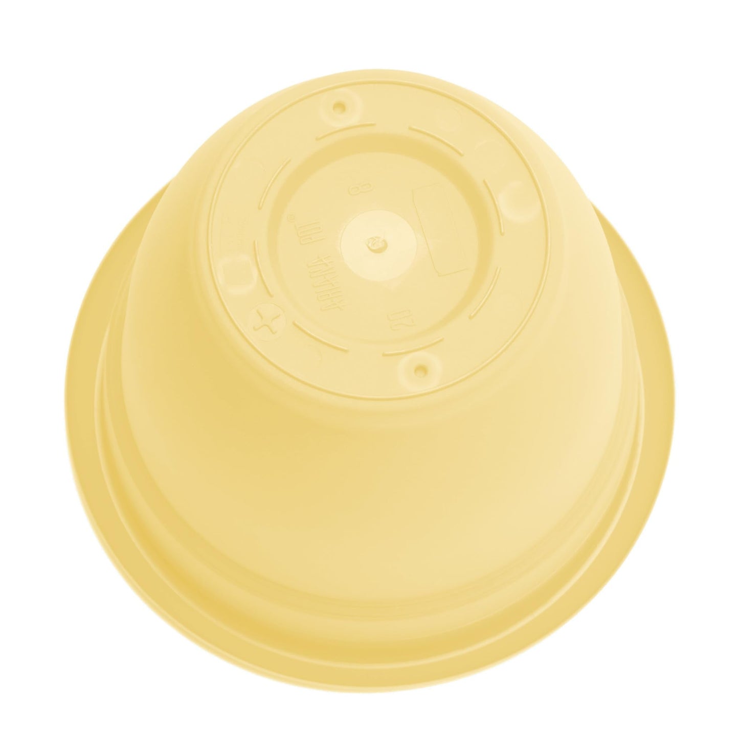 Bloem Ariana 12" Self-Watering Plastic Planter - Rolled Rim Indoor/Outdoor Garden Pot, Daffodil, 2-Pack