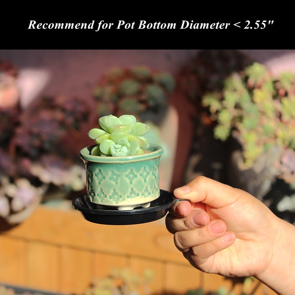 BangQiao 30 Pack 3.15 Inch Plastic Tiny Round Plant Pot Saucer Tray for Indoor and Outdoor Plants, Black