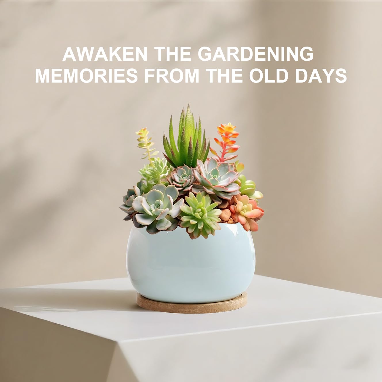 Jusalpha 5'' Ceramic Large Succulent Cactus Plant Pot with Drainage Hole & Bamboo Saucer for Indoor Plant, Planter 07 (Blue)