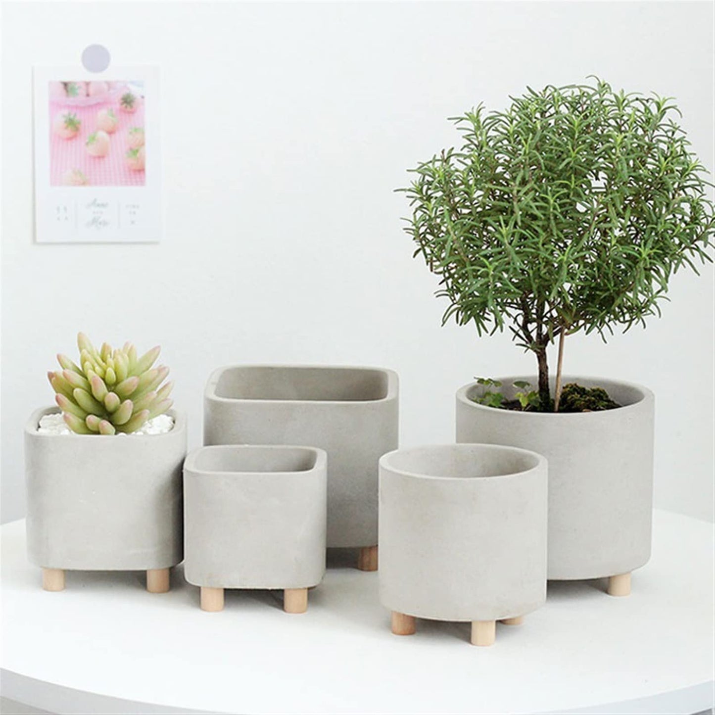 ENGENDER Flower Pot Simple Cement Flower Pot High-Footed Succulent Flower Pot Creative Desktop Green Plant Pot Small Potted Plant Planter (Color : Square)
