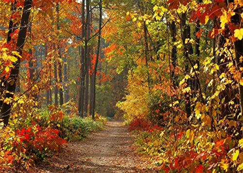 BELECO Autumn Scenery Backdrop Fabric 5x3ft Fall Woods Path Deciduous Background Forest Mountain Road Photography Backdrop Home Decor Autumn Theme Party Backdrop Kids Adults Portrait Photo Props