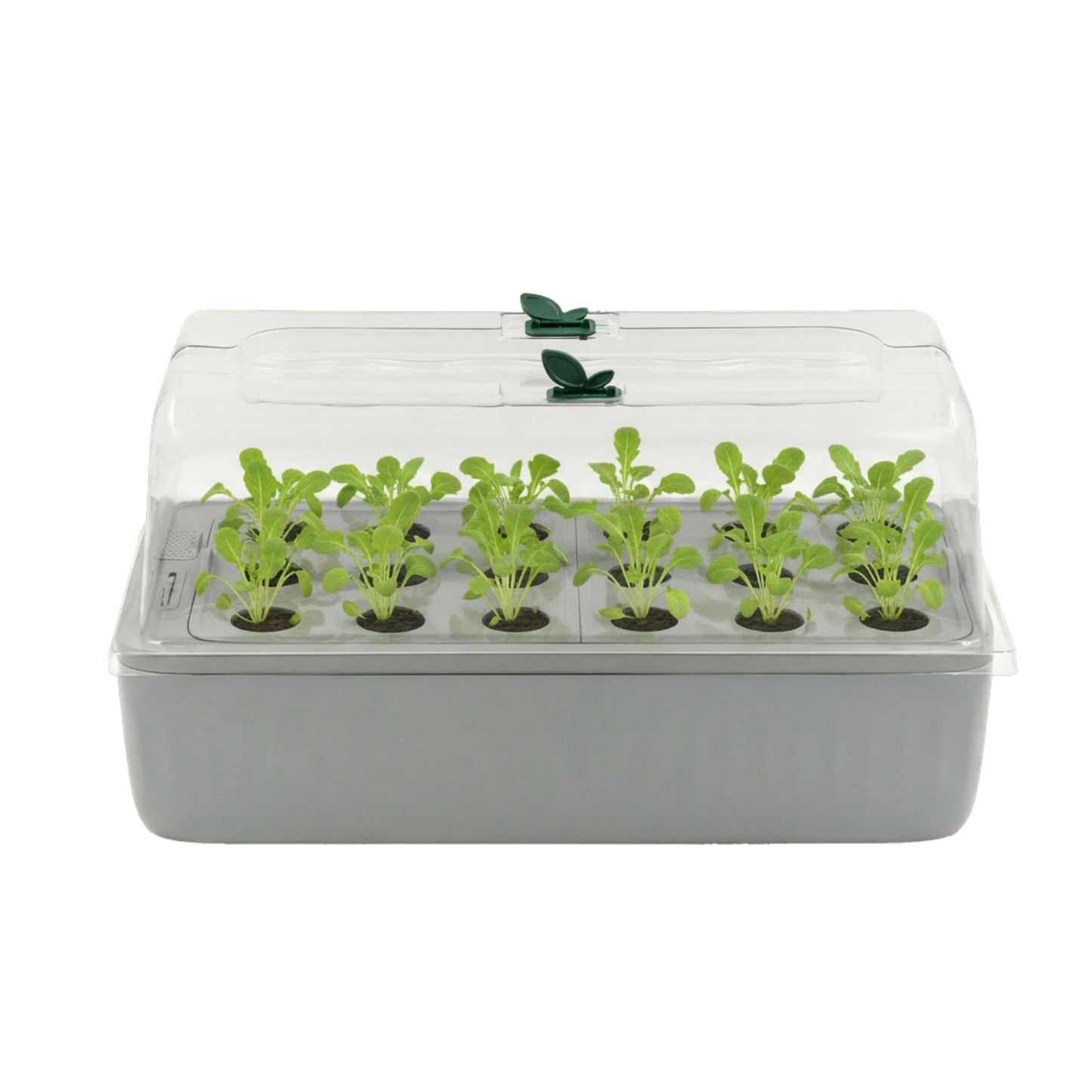 EZ Leafy Planter – Self-Watering Indoor Planter Box with Reservoir & Humidity Dome | Soil-Based Countertop Garden Kit for Leafy Greens, Lettuce, Spinach & Herbs | Kitchen Windowsill Planter