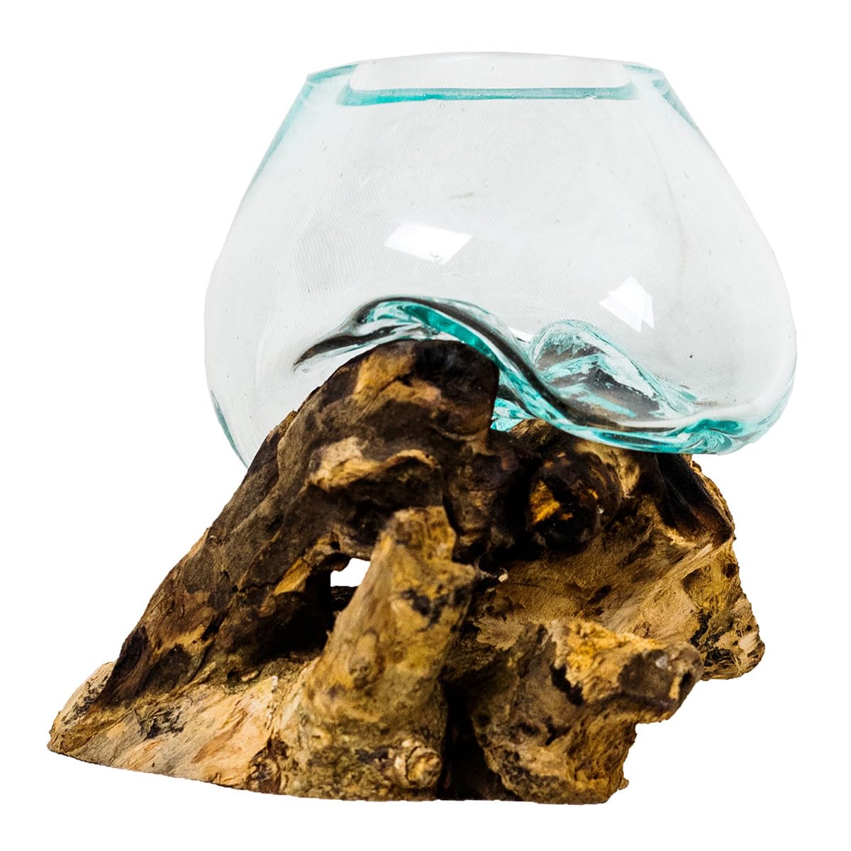 BLACK FOREST DECOR Organic Blown Glass & Root Bowl – Small Hand-Blown Glass on Natural Wood Root, One-of-a-Kind Accent, Approx. 5" W x 4" D x 5" H