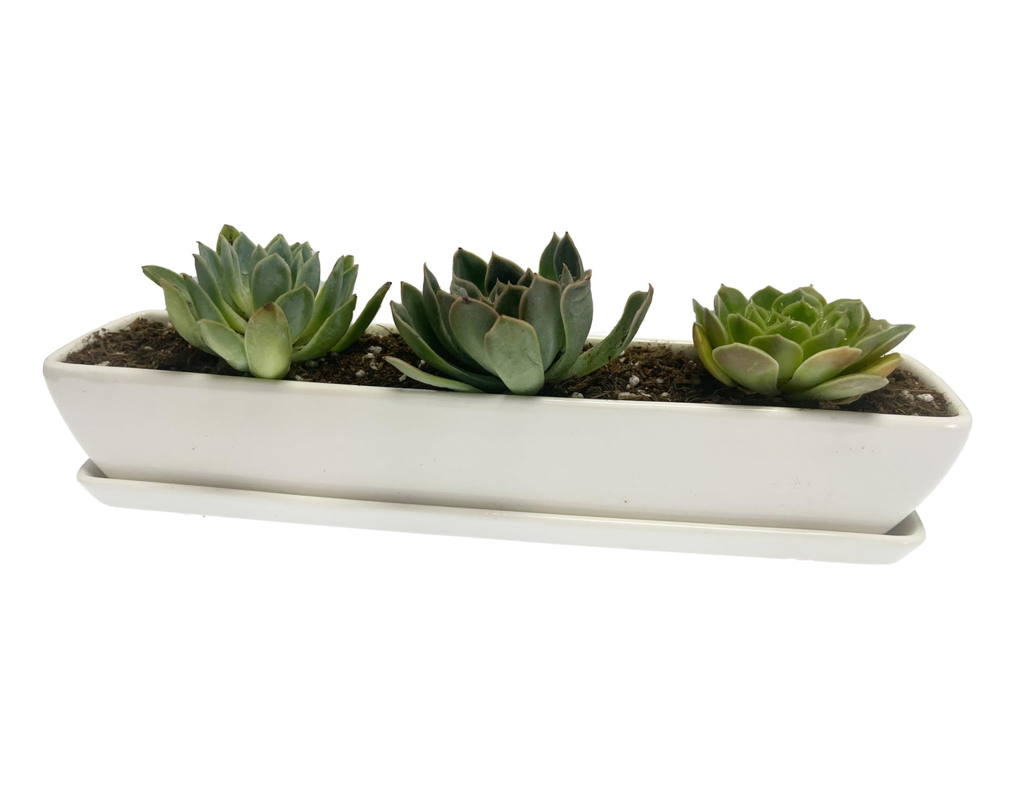 Kipokalor White Ceramic Succulent Planter Pot,one Set of 10.9x2.36x1.65inch Long Rectangular Modern Minimalist with Ceramic Saucer for Office,Desk,Window. (1)