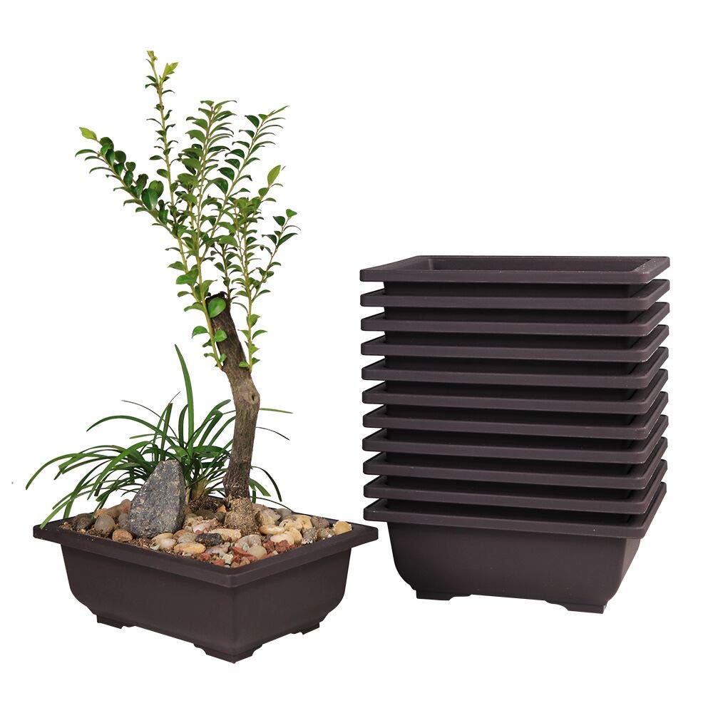 MUZHI 12PACK RetroStyle Plastic Bonsai Training Pots Balcony Indoor Rectangle Square Flower Pots 6"