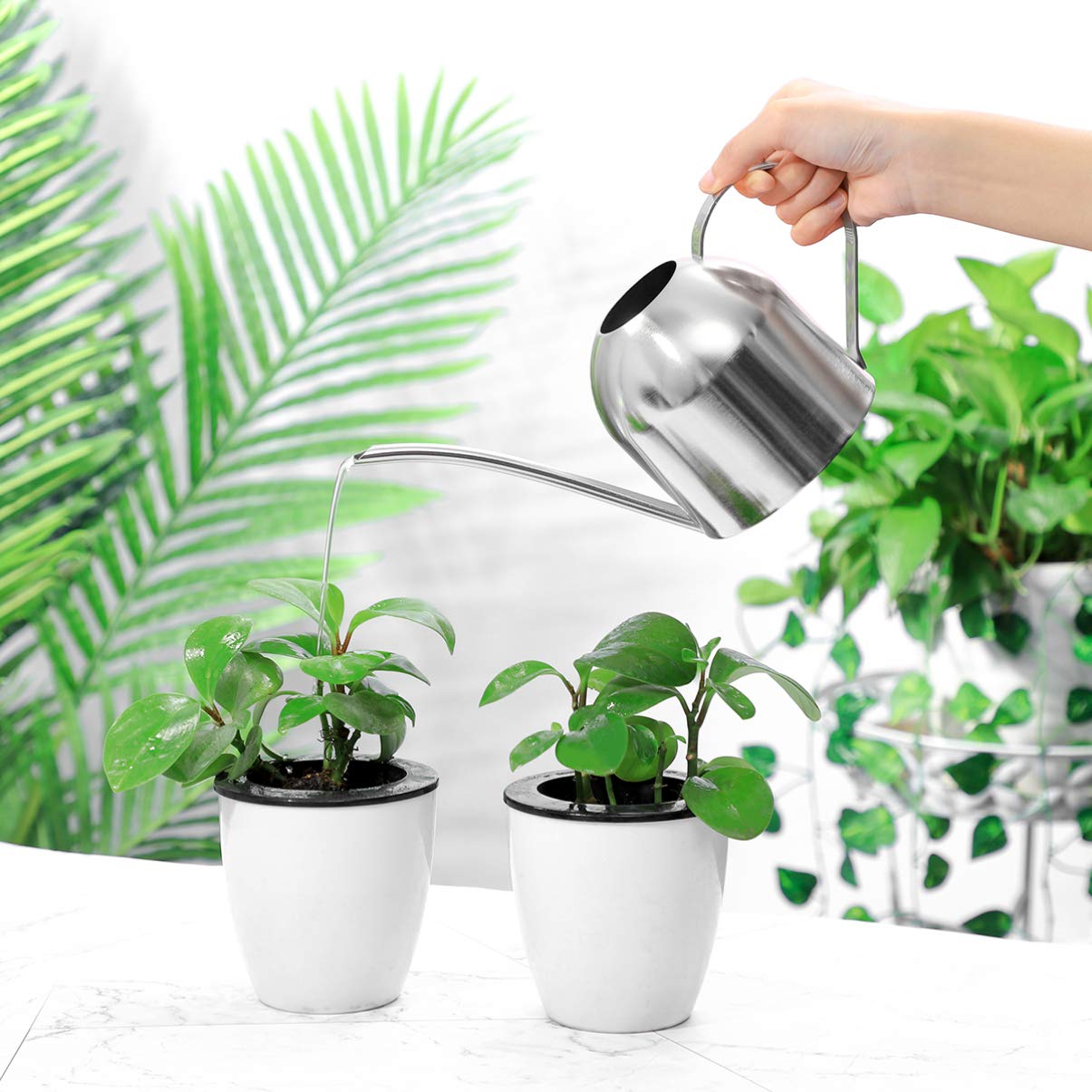 YARNOW 1000ml Stainless Steel Watering can with Long Spout for Indoor Plants, Succulents, and Garden Use (Silver)