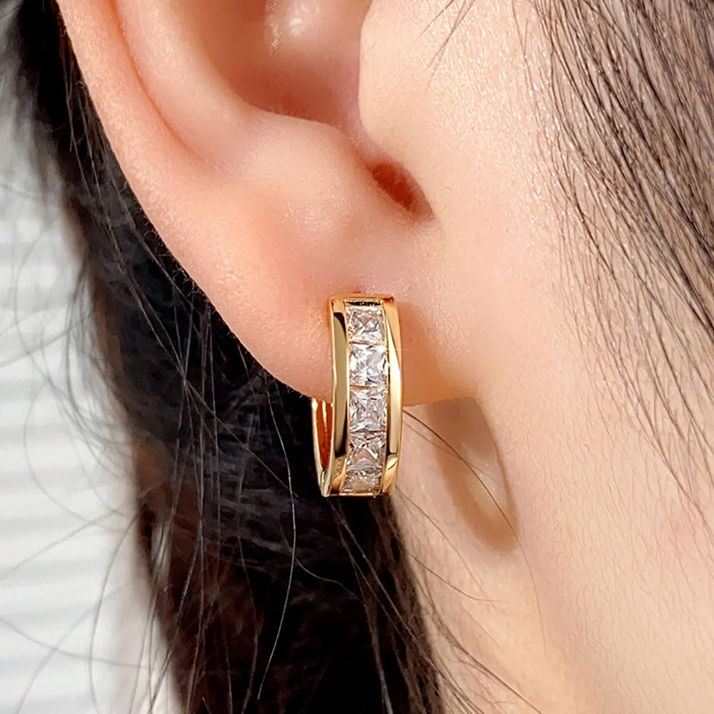 Histone Lymphatic Earring For Women, Lovefinity™ Honorable Joy Halolux Lymphvity Magnetotherapy Germanium Earrings Hoop Jewelry Gifts (Silver+Silver)