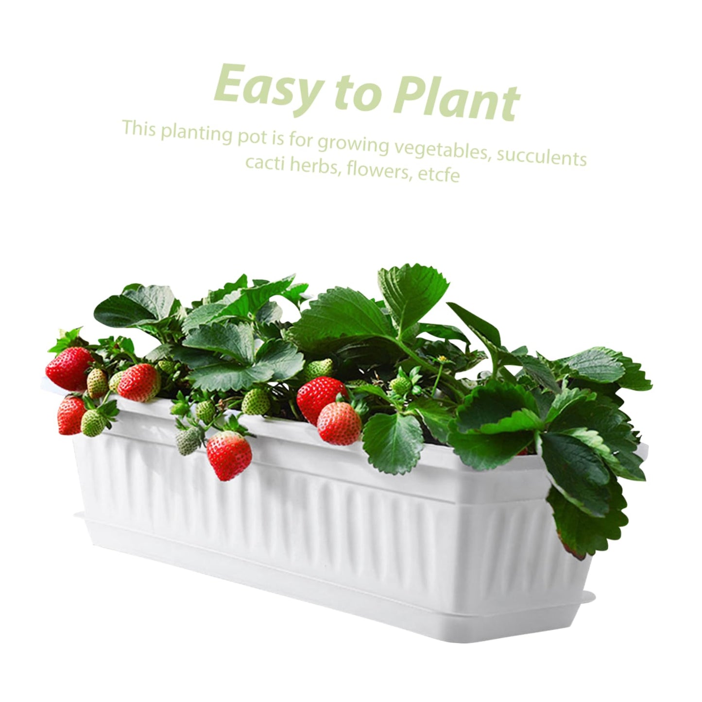 DOITOOL 2pcs Rectangular Plastic with Saucers Versatile Pots for Indoor and Outdoor Use Ideal for Vegetables and Flowers for Windowsills Patios and Gardens
