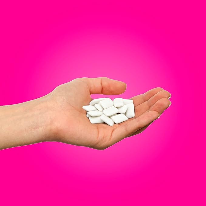 PUR Gum | Aspartame Free Chewing Gum | 100% Xylitol | Natural Pomegranate Mint Flavored Gum, 55 Pieces (Pack of 6)