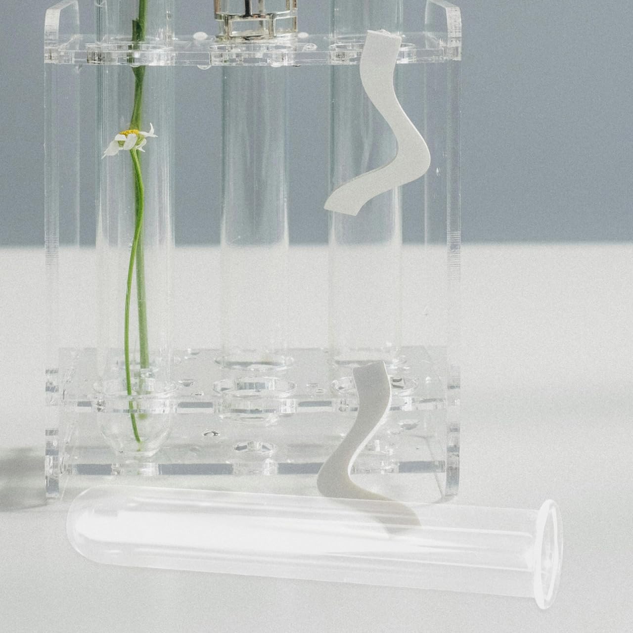 FUNOMOCYA 4pcs Clear Test Tubes for Cutting Plant Glass Propagation Tubes for Hydroponic Plants, Flowers, Home Office Wall Decor
