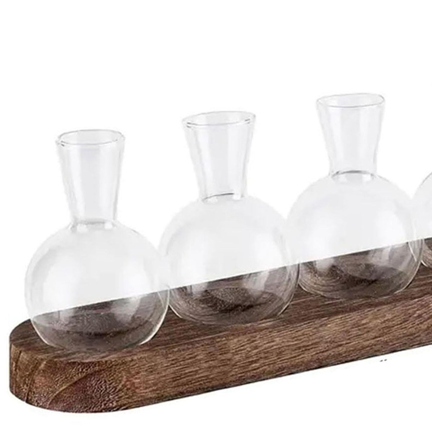 BLWOTMOR Plant Terrarium Desktop Glass Glass Vase