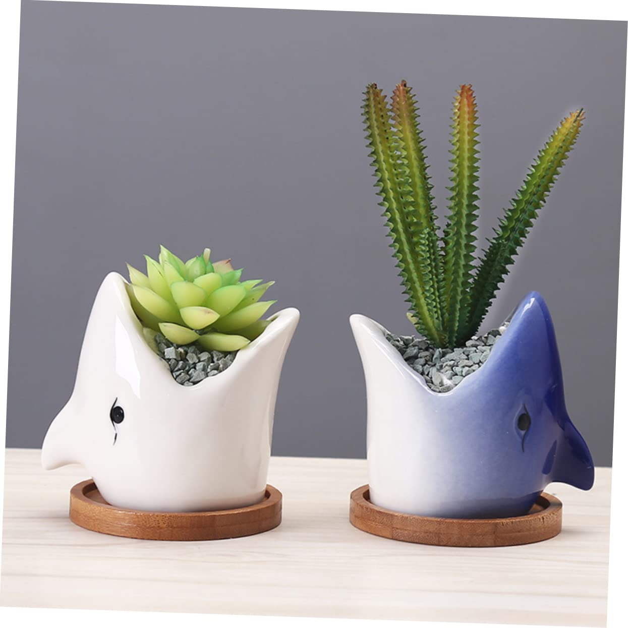 OFFSCH Adorable Ceramic Succulent Flowerpot Unique Big Mouth Shark Design for Indoor Decor Present for Friends and Planter