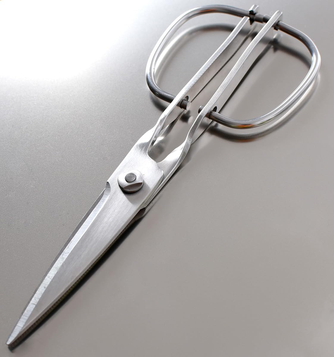 Multi-Purpose Kitchen Food Scissors, SUS403 Stainless Steel Shears with Herb Stripper, Detachable Blades, Ergonomic Handles, Ideal for BBQ, Seafood, Camping, Dishwasher Safe