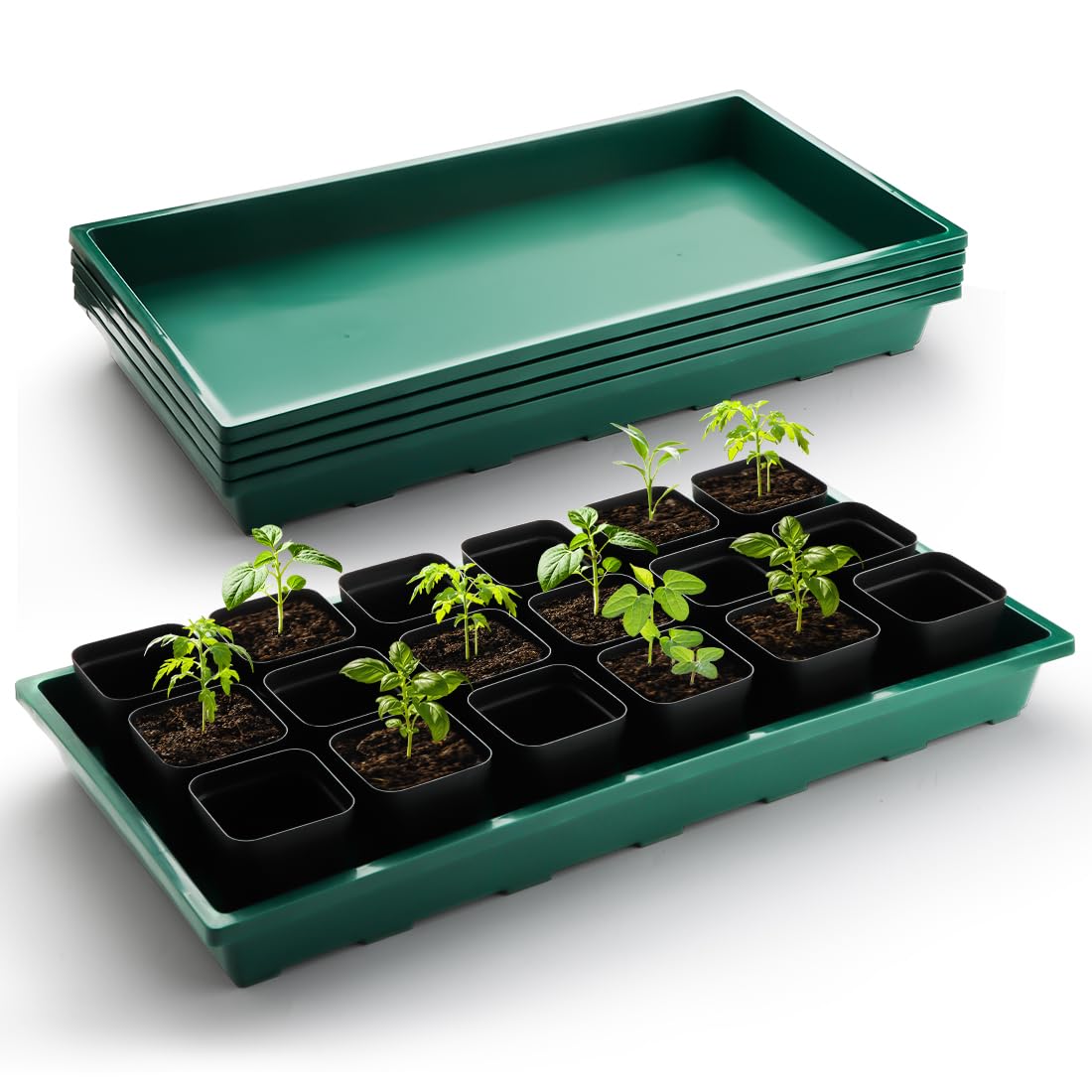 RooTrimmer 1020 Nursery Pots Trays 5 Pack, Plastic Flat Seed Starter Trays, Durable Seedling Potting Tray for Carrying and Holding Planting Pot (Green)