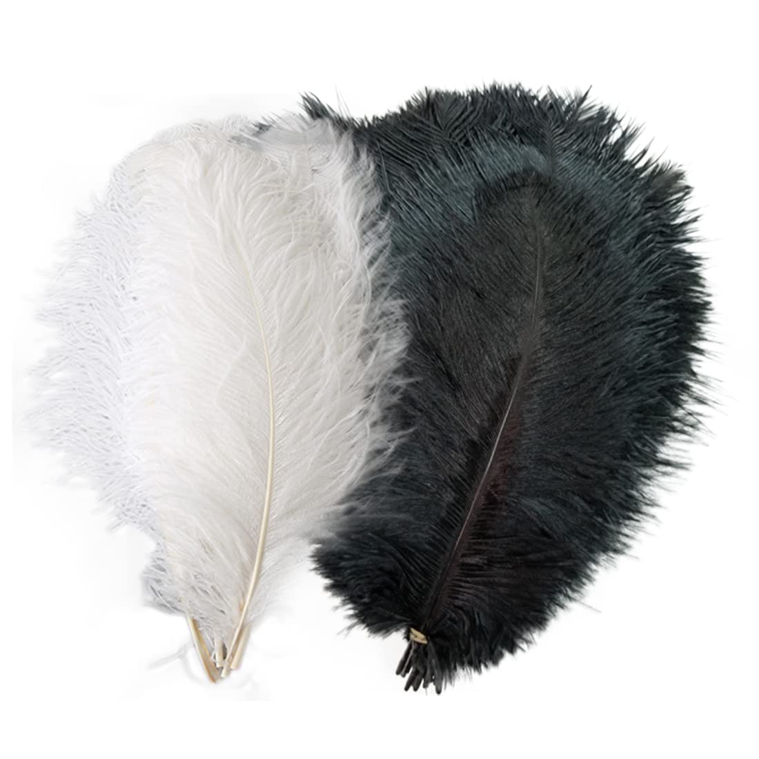 MARRTEUM 8-10 Inch Natural Ostrich Feathers for Party, Wedding, Masquerade and Home Decorations(10 PCS Black and 10PCS White)