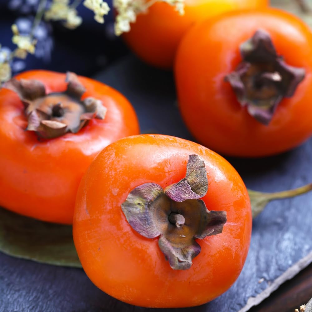 (No Ship to CA) Persimmon Tree Live Plant | Quart Size Pot | Low Maintenance Deciduous Flowering Tree | Robust Established Plant for Home Garden | Dormant Plant