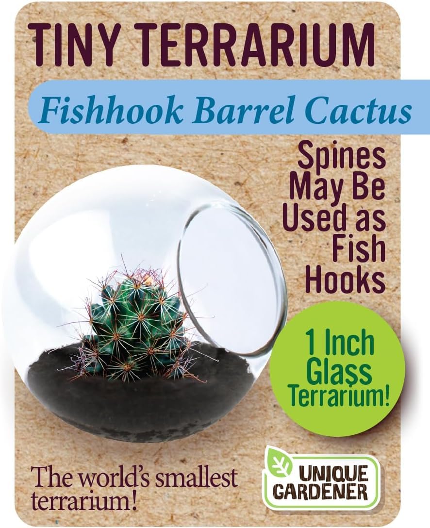 Unique Gardener Tiny Terrarium Plant Seeds 6 Variety Cacti Pack, DIY Indoor Succulents and Live Plants for Home or Garden Planting, Assorted Cacti Pack