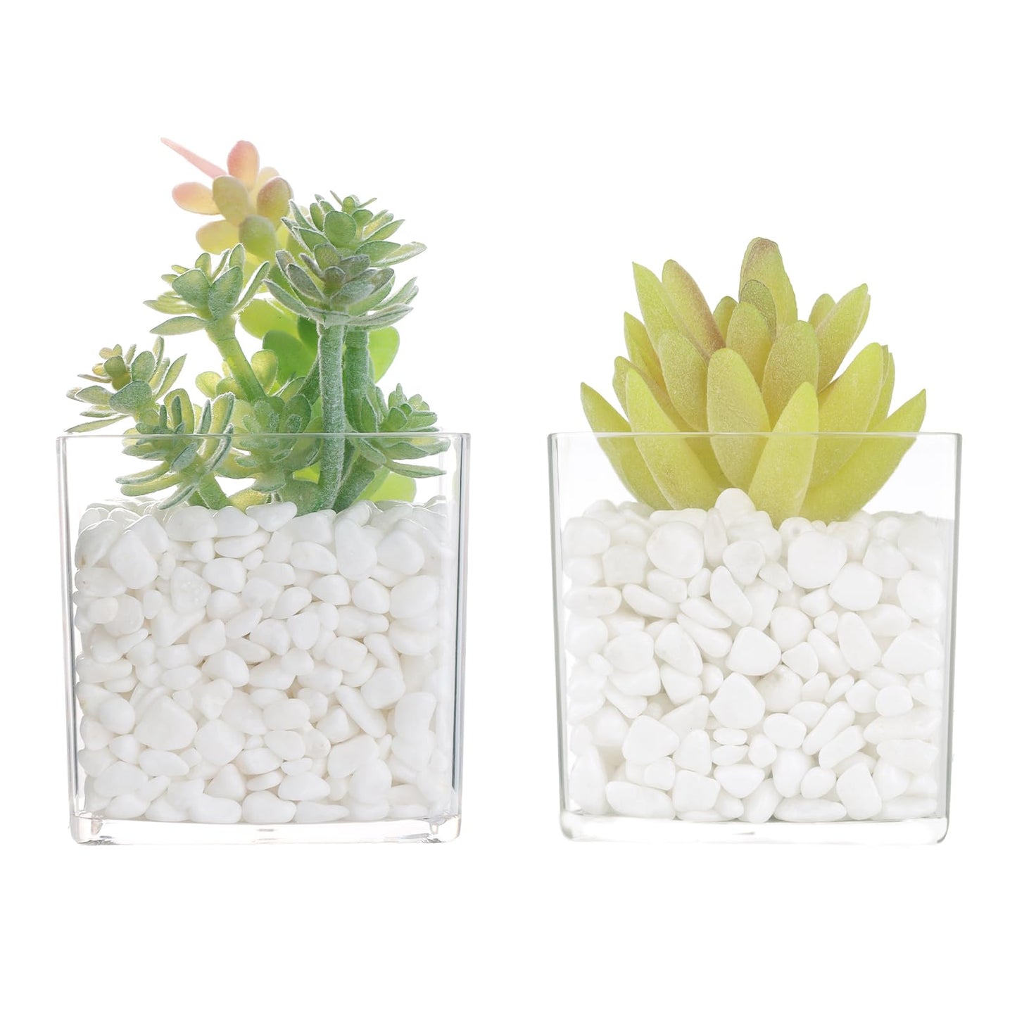 PapakeNook 2-Pack Mini Clear Acrylic Artificial Succulent in Pots Small Fake Plants for Living Room Bathroom Plant Shelf Decor Office Desk Floating Shelves Window Sill Decoration Accessories