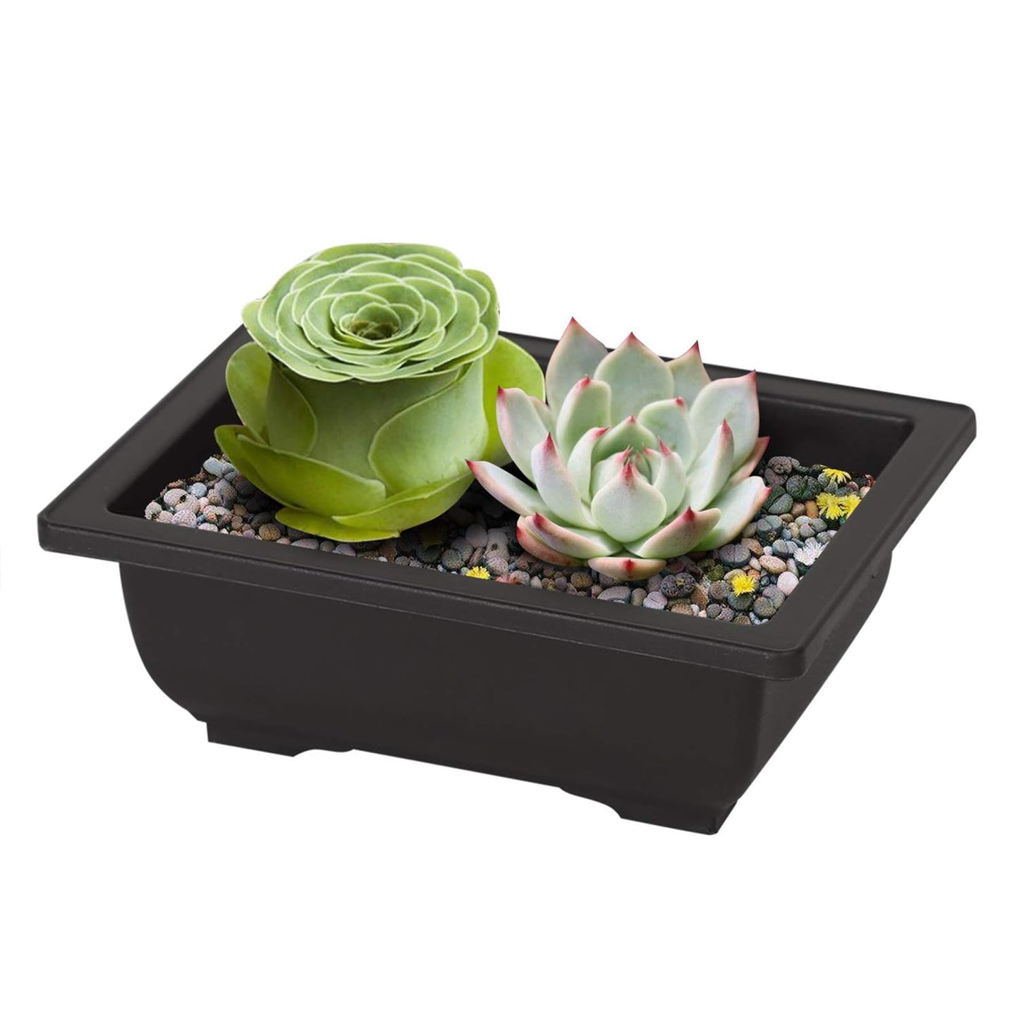 MANCHAP 24 PCS 6.5 Inch Plastic Bonsai Training Pots, Rectangular Bonsai Tree Planter Pot for Garden, Yard, Office, Home Decorative