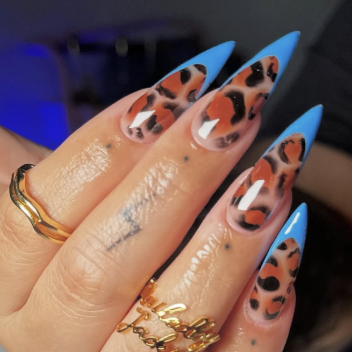 IMRAIN Press on Nails Long Stiletto Fake Nails Brown Leopard Print Acrylic False Nails with Blue French Nail Tips Designs Full Cover Glossy Acrylic Glue on Nails 24Pcs